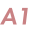 A1